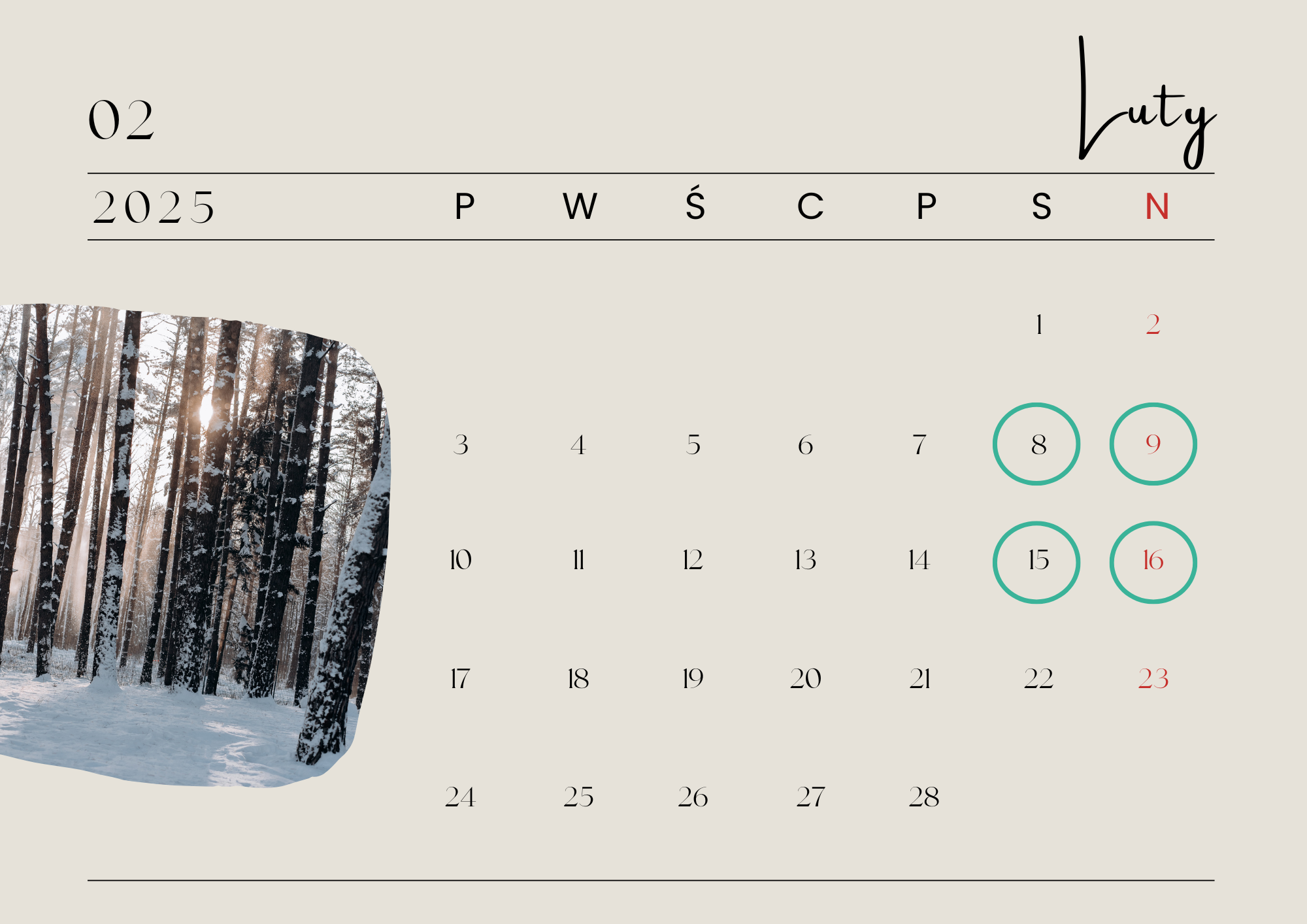 snowboard, nauka snowboardu, technika jazdy na snowboardzie, bootcamp