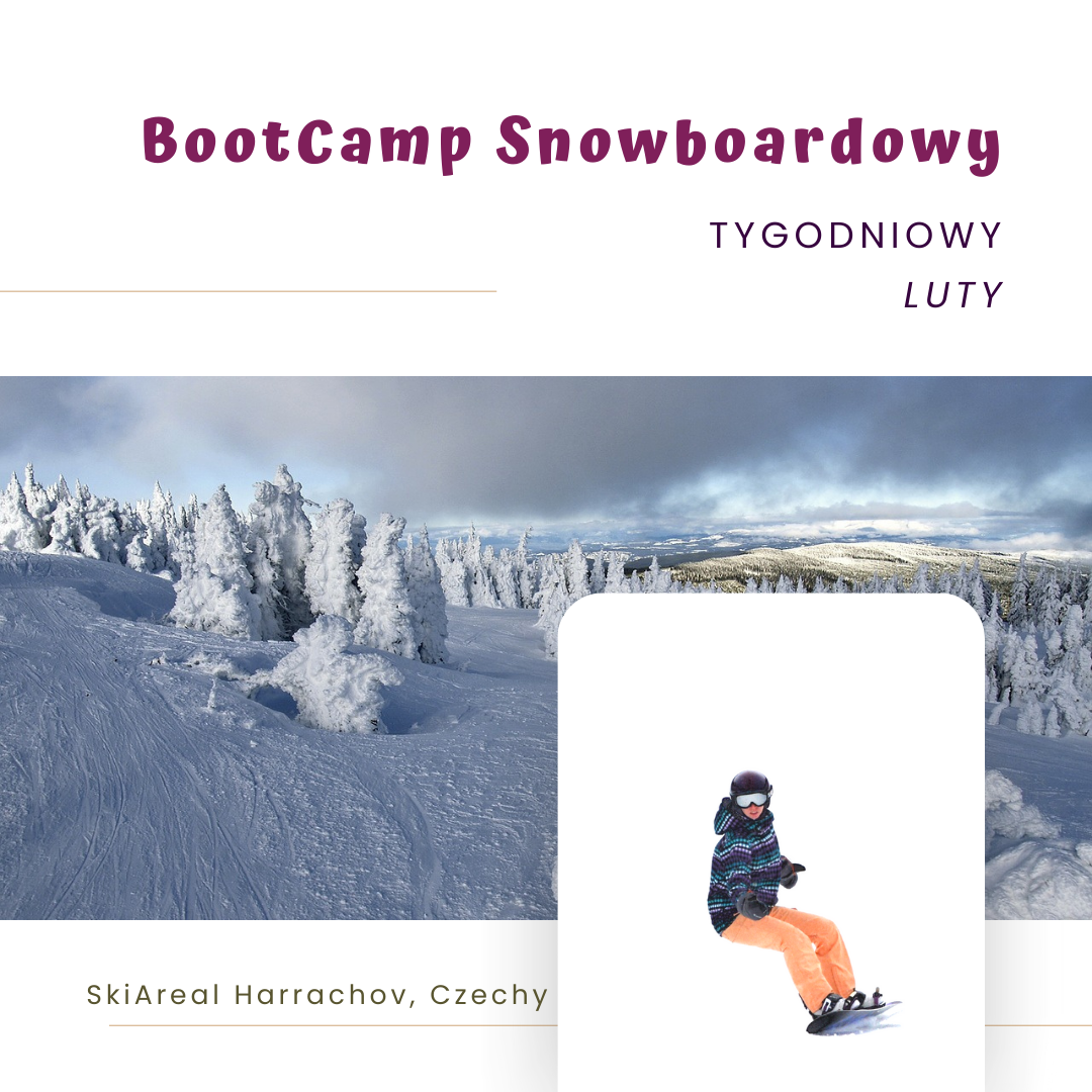bootcamp, snowboard, lodoova, sits